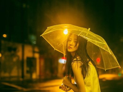网易云养一只英短的文案